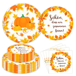 60 pcs of autumn 9in and 7in dinner plates + napkin (1) Autumn