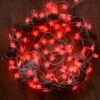 Pentagram light string
