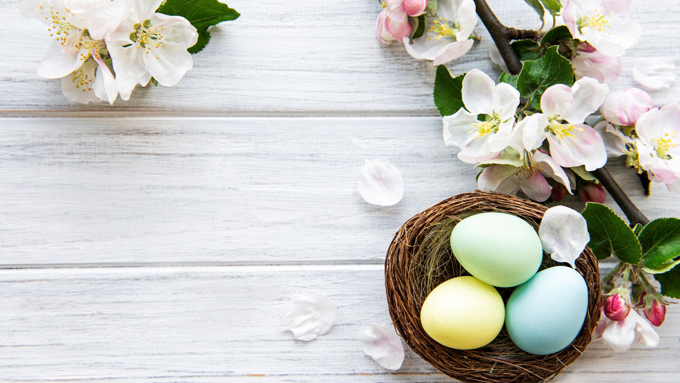 25 Easter Decoration Ideas (2026 Guide)