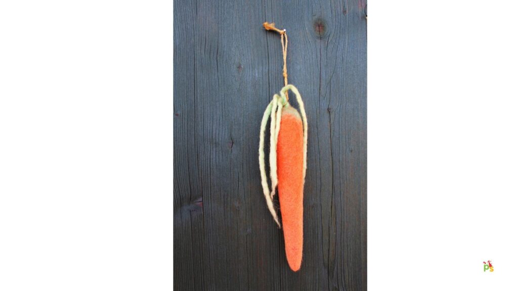 Carrot Patch Door