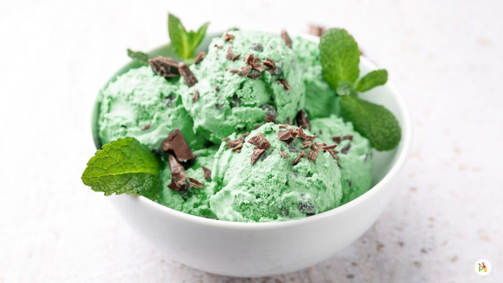 Mint Chocolate Chip Cake Design